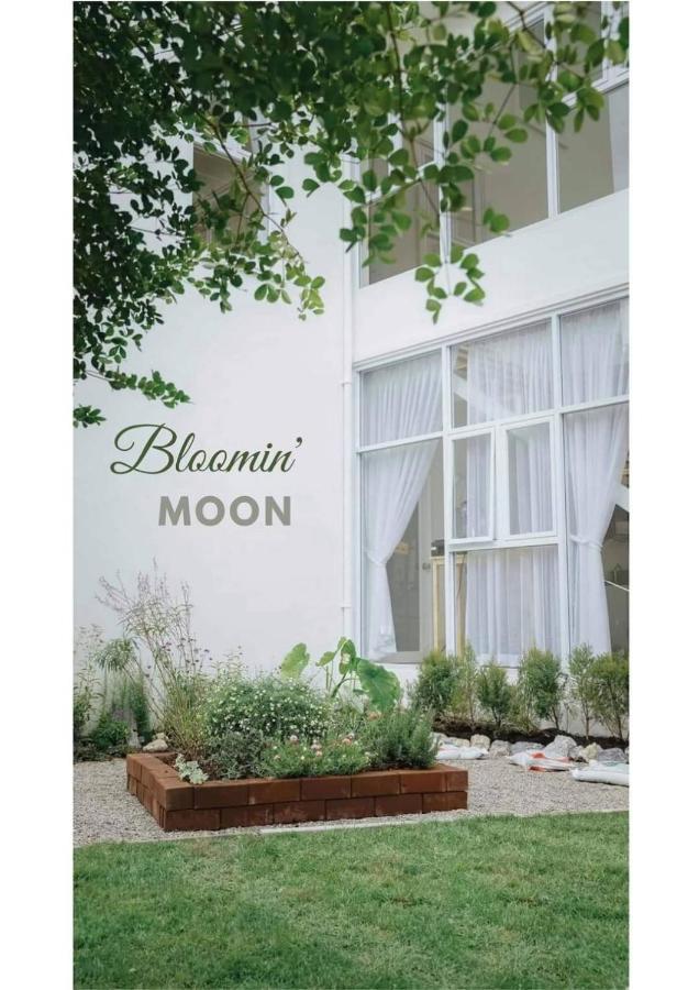 Bloomin' Moon Hostel & Cafe, Chiang Mai Old Town エクステリア 写真